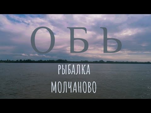 Видео: Обь. Молчаново. Рыбалка. Август 2025.
