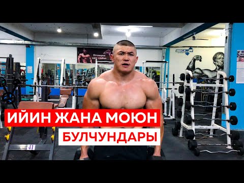 Видео: Ийин жана Моюн булчуңдарын кантип туура чыгарабыз - Келдибек Атайбеков!