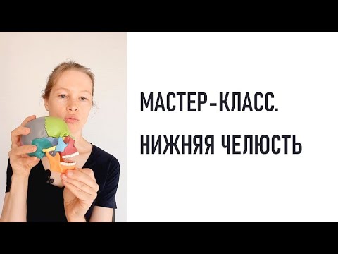 Видео: Нижняя челюсть. Теория, массаж и упражнения