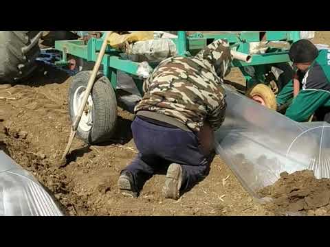 Видео: Тунелеукладчик 27 марта 2019 г.