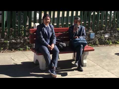 Видео: Перелётные птицы. Выпуск 32. Индия. Шимла