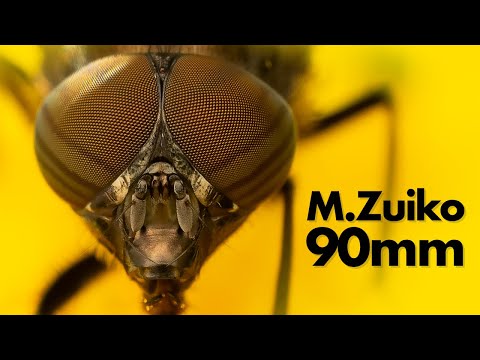 Видео: Долгосрочный обзор M.Zuiko 90mm f/3.5 — лучший макрообъектив, который можно купить за деньги?