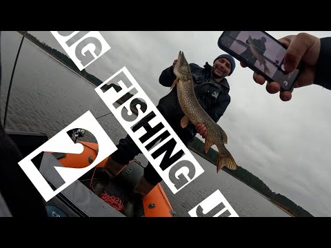 Видео: КРУПНЫЙ ОКУНЬ КЛЮЕТ ТОЛЬКО НА ЭТИ ПРИМАНКИ! Как найти точку и поймать рыбу на джиг.