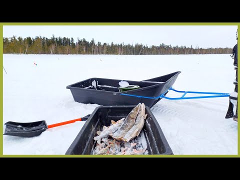 Видео: Рыбалка на жерлицы. И правильность их установки.