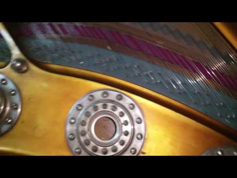 Видео: Нашли большой концертный рояль " J.BECKER" - любимая марка роялей П.И. Чайковского.