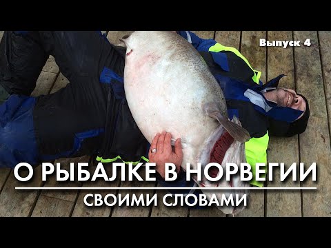 Видео: Рыбалка в Норвегии: выбор шнура