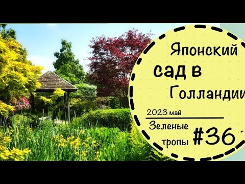 Видео: #36☘️Самый уютный японский сад☘️Названия растений☘️Цветение рододендронов в мае☘️Нилерланды
