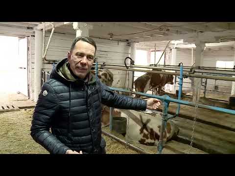 Видео: Коровники нового поколения. О ХЛЕБЕ НАСУЩНОМ 30 11 24