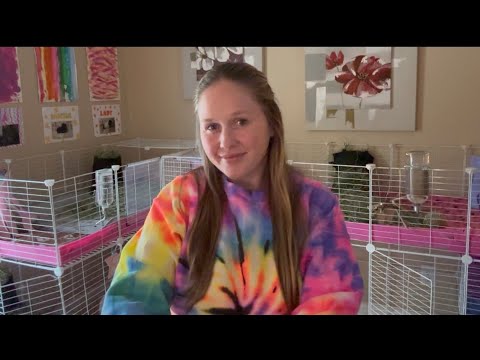 Видео: Рыбы — что хорошего ждет вас и чего вам следует остерегаться?