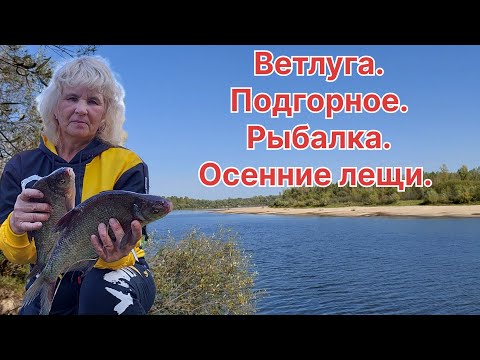 Видео: РЫБАЛКА на ВЕТЛУГЕ,  МАРИЙ ЭЛ. ФИДЕР и СПИННИНГ.