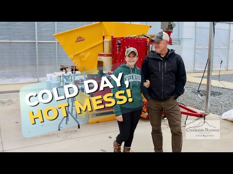 Видео: Холодный день, жаркий беспорядок | Мы остаёмся собой