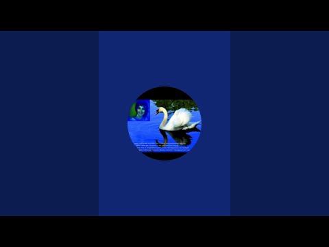 Видео: Ольга Лебедева  в прямом эфире!
