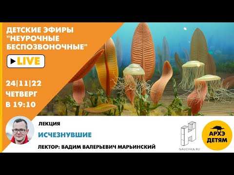 Видео: Детский эфир "Исчезнувшие" курса "Неурочные беспозвоночные" с Вадимом Марьинским