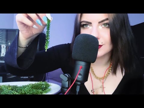Видео: АСМР Итинг морского винограда🌊 || ASMR Sea grapes 🍇