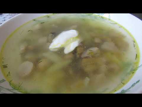 Видео: Суп грибной из сыроежек. Время приготовления 15 минут.
