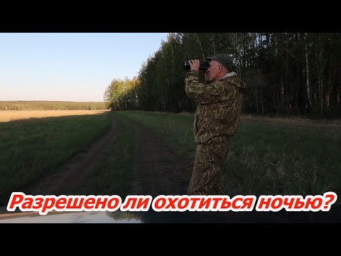 Видео: Разрешено ли охотиться ночью