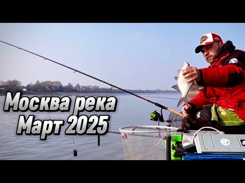 Видео: Рыбалка на Москва реке. Фидер 2025 март #рыбалка