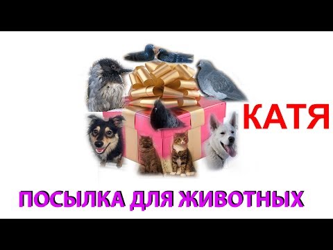 Видео: Посылка для животных. КАТЯ (Саров)