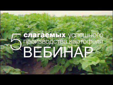 Видео: Пять слагаемых успешного производства картофеля
