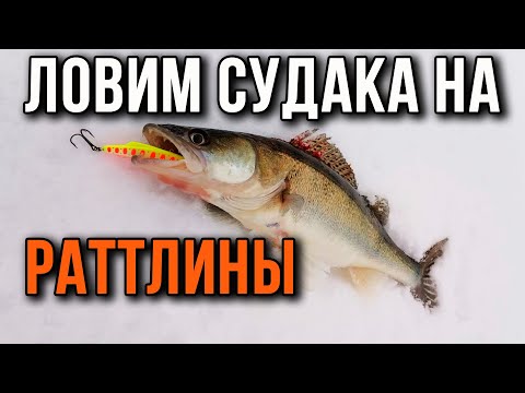 Видео: Как поймать судака на ратлины, Финский залив.