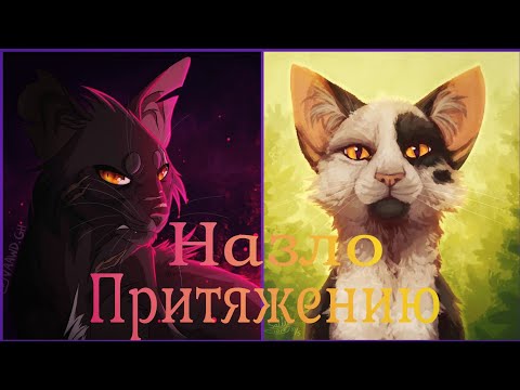 Видео: Коты Воители Ветерок и Быстролап: Назло притяжению [Евгений Егоров]