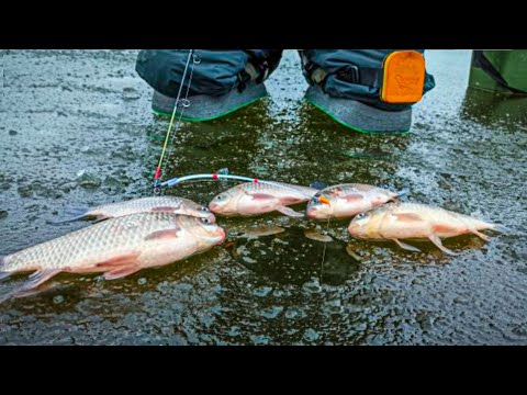 Видео: ТЕХНИКА Ловли КАРАСЯ Зимой, Как поймать карася зимой, Ловля карася зимой, Карась со льда