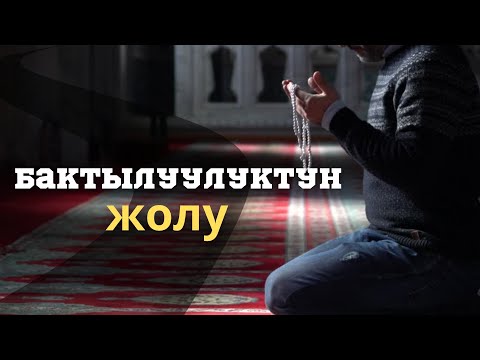 Видео: Бактылуулуктун жолу
