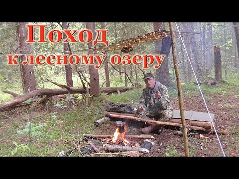 Видео: Поход в лес. ПВД. Укрытие из пончо. Суп на костре.