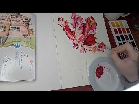 Видео: Timelapse drawing Сurly tulip in watercolor #painting #art #creation #tuturial