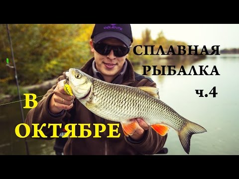 Видео: За голавлём в октябре.