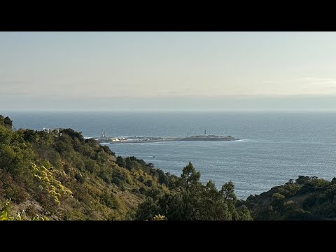 Видео: Большой Утриш Прямая трансляция Стрим прогулки прямые эфиры и трансляции