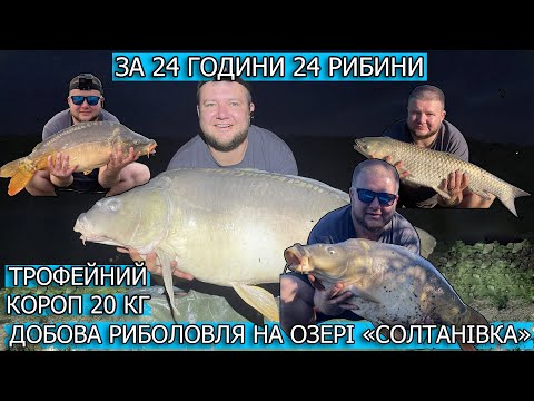 Видео: 24 Коропа за добу + BigFish (Солтанівка)