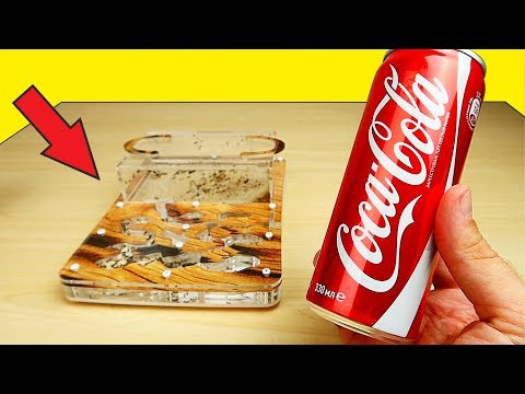 Видео: Реакция Муравьев на Чай, Кетчуп и Кока-Колу! Я удивлен! 😲 Что если? Alex Boyko