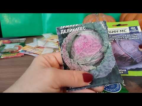 Видео: семена на сезон 2025