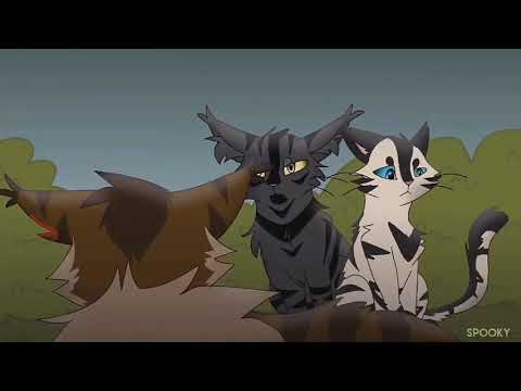 Видео: Коты воители клип скованные одной цепью.