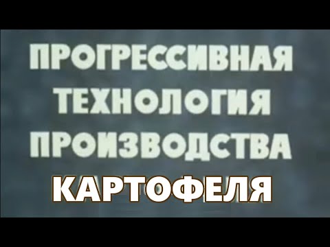 Видео: Технология возделывания картофеля