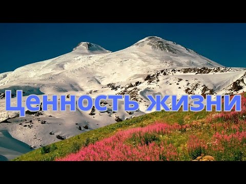 Видео: Что действительно ценно в жизни