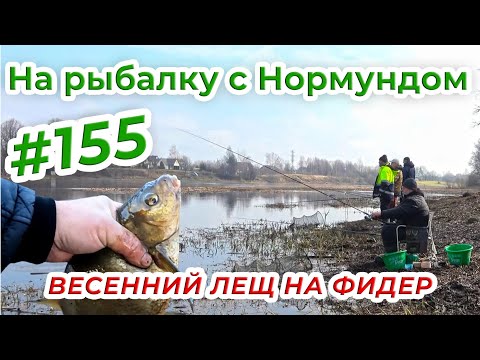 Видео: ВЕСЕННИЙ ЛЕЩ НА ФИДЕР / На рыбалку с Нормундом #155