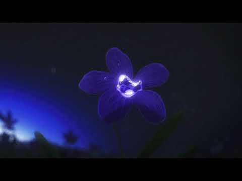 Видео: ALEKSEEV - Пьяное солнце (slowed)