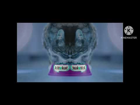 Видео: Kitekat Еда энергичных кошек 2018 Effects