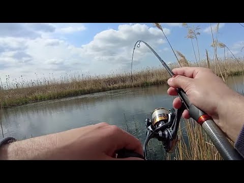 Видео: Мормышинг: за карасями в пасмурный денёк.