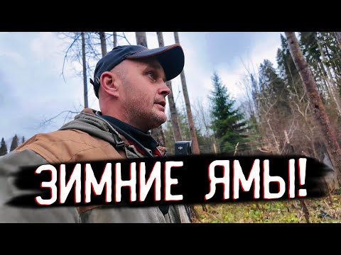 Видео: ПРОБИЛ ДОРОГУ НА ЗИМНИЕ ЯМЫ: Бобровые Завалы и Встреча с Совой!