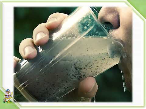 Видео: Экологическая безопасность