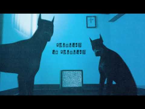 Видео: кровь из носа, Metox - гуманитарная катастрофа