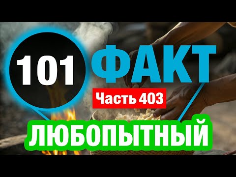 Видео: 101 Грандиозный Факт В Который Сложно Поверить