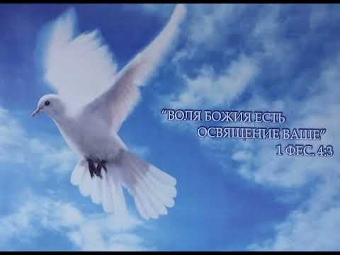 Видео: Правильное отношение к ближним