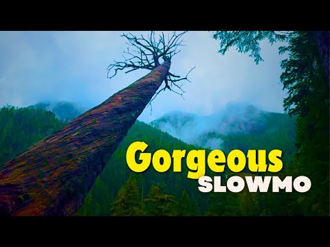 Видео: Замедленная съемка для Snag