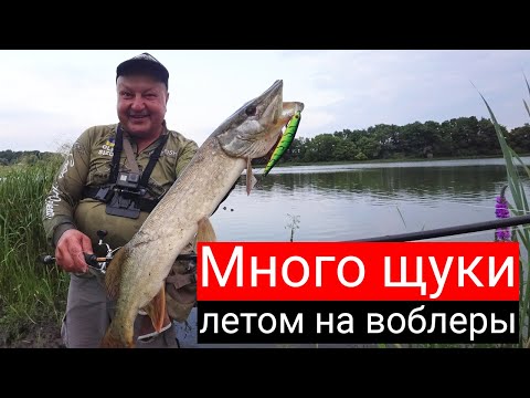 Видео: МНОГО ЩУКИ ЛЕТОМ на воблеры. Никогда не отцепляйте рыбу с крючков так — это опасно!