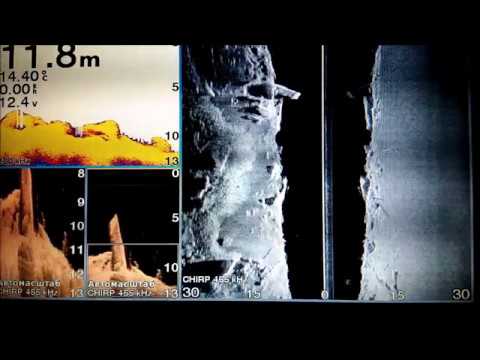 Видео: Эхолот  Учусь читать данные
