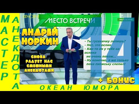 Видео: Смешно ДО СЛЕЗ 14 Андрей Норкин! Подборка Свежих  Анекдотов!